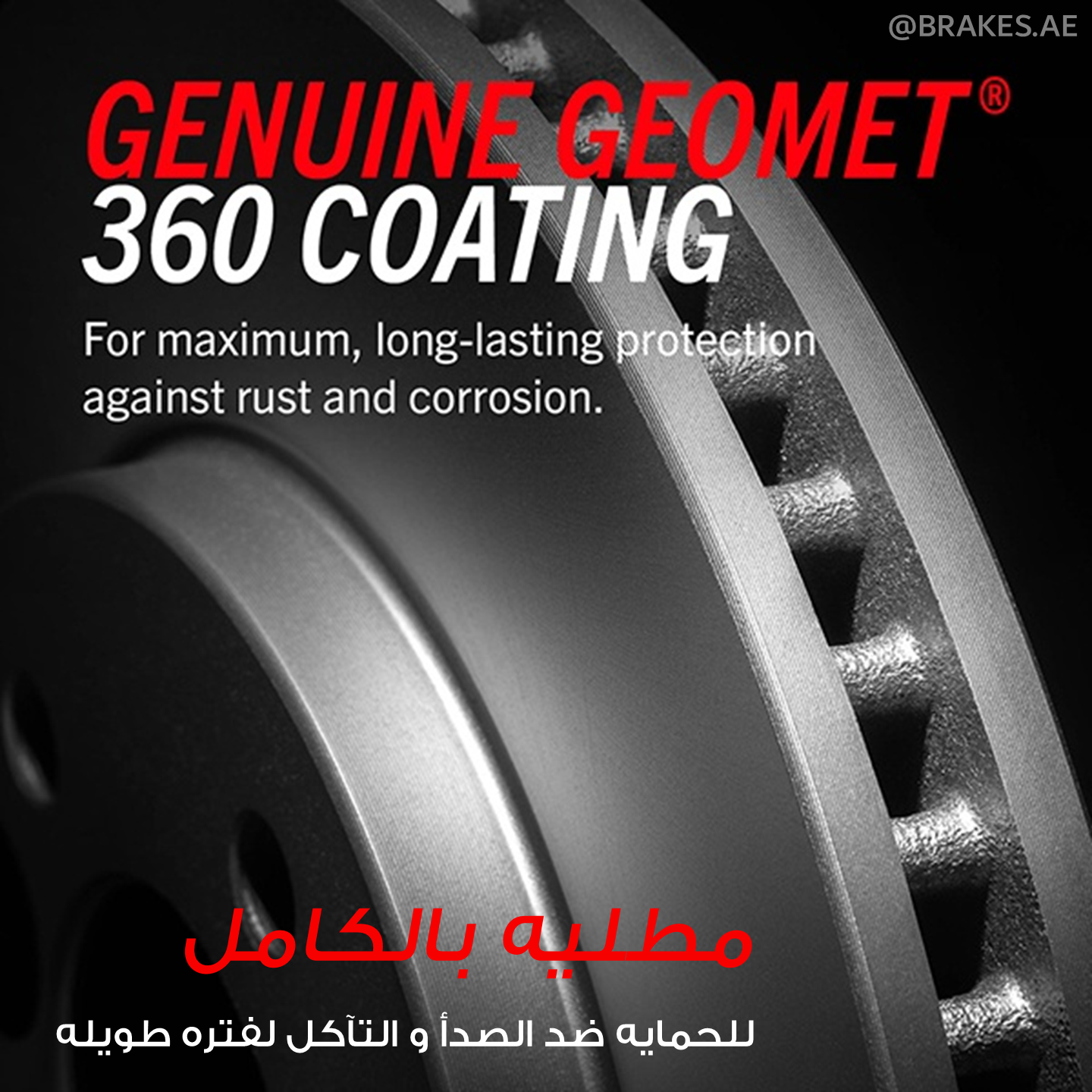 Honda CR-V (2005-2016) Rear Coated Brake Disc Rotors by PowerStop Evolution (JBR1158EVC)