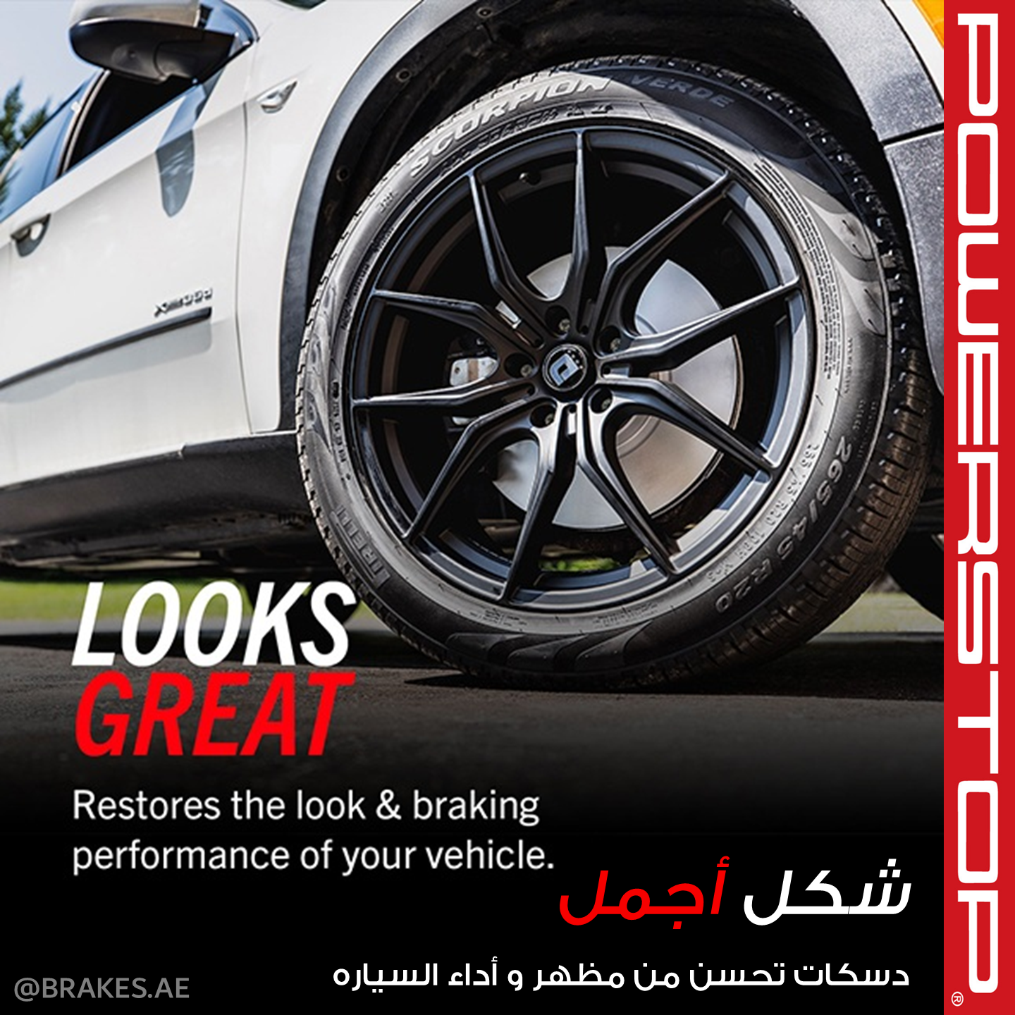 Honda CR-V (2005-2016) Rear Coated Brake Disc Rotors by PowerStop Evolution (JBR1158EVC)