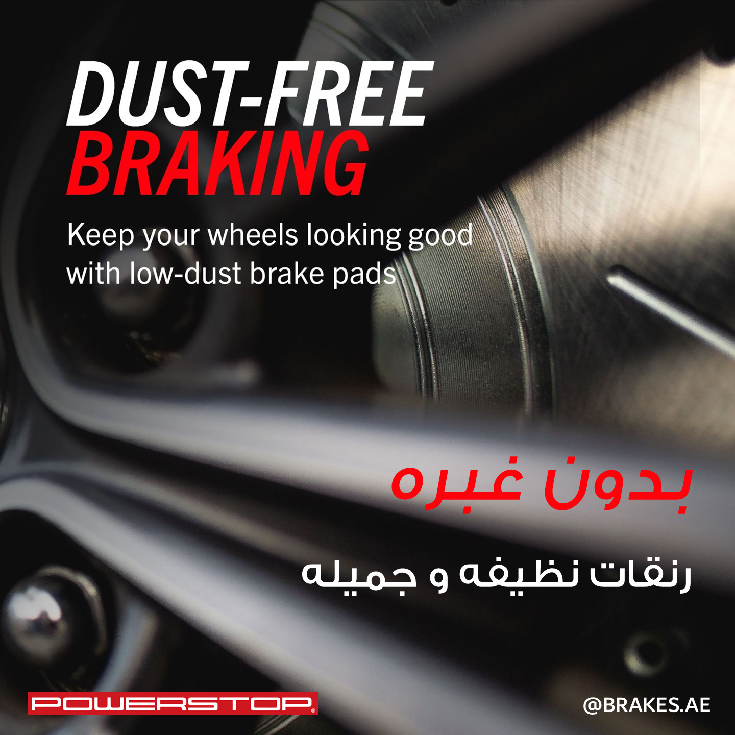 Mini (2014-2024) Rear Ceramic Brake Pads by PowerStop Evolution Plus (17-1800)