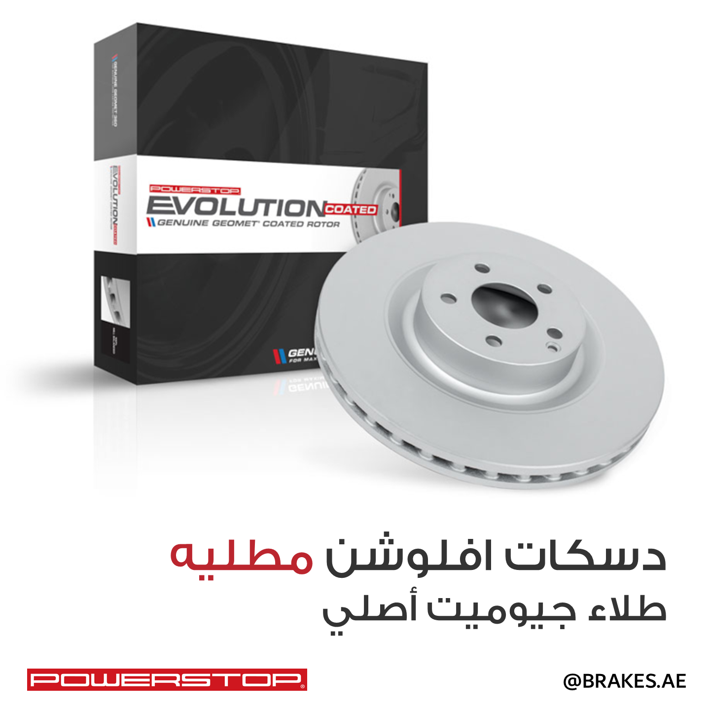 Honda CR-V (2005-2016) Rear Coated Brake Disc Rotors by PowerStop Evolution (JBR1158EVC)
