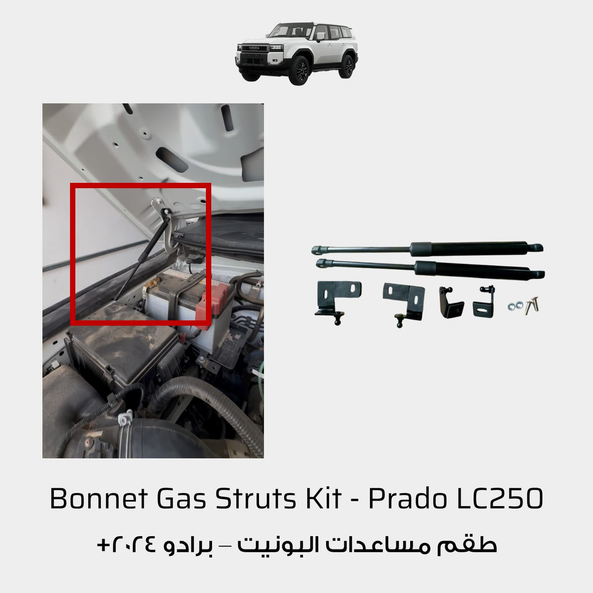 Bonnet Gas Struts Kit - Prado LC250